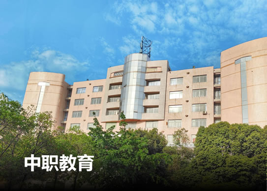 中职教育